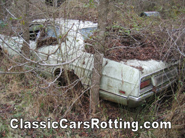 Ford scrap yards bradford #4